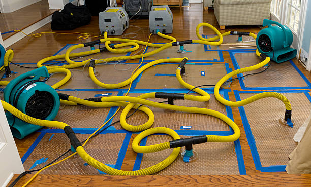 Professional Crawl Space Water Removal technician working in Salina, KS